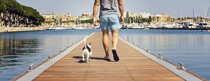 Low section of man walking with dog on pier over sea