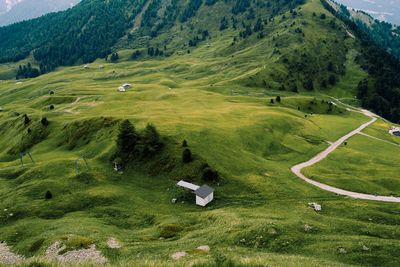 Green grass hills in the dolomites