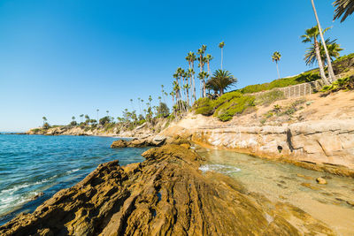 Scenic view of sea against clear blue sky