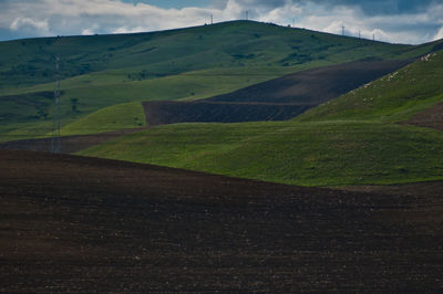 Scenic view of agricultural field against sky