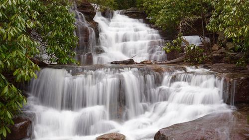 Scenic view of waterfall in forest