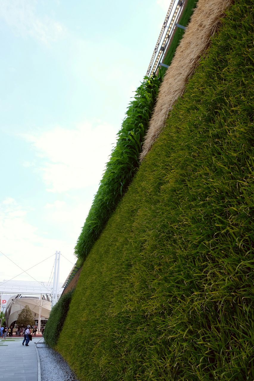 grass, sky, green color, road, field, built structure, grassy, the way forward, architecture, cloud - sky, transportation, landscape, building exterior, incidental people, day, cloud, men, large group of people, walking