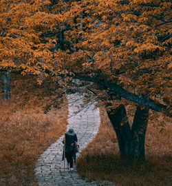 Rear view of woman walking on footpath during autumn