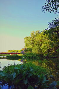 Scenic view of lake against clear sky