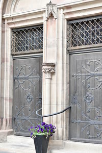 Closed door of house