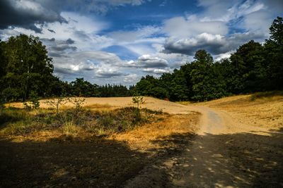 Path to nature