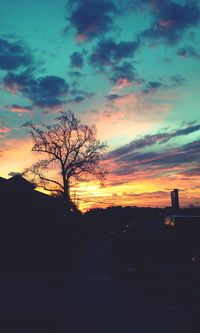 Silhouette of trees at sunset