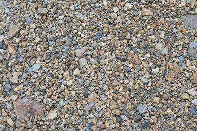 Full frame shot of pebbles
