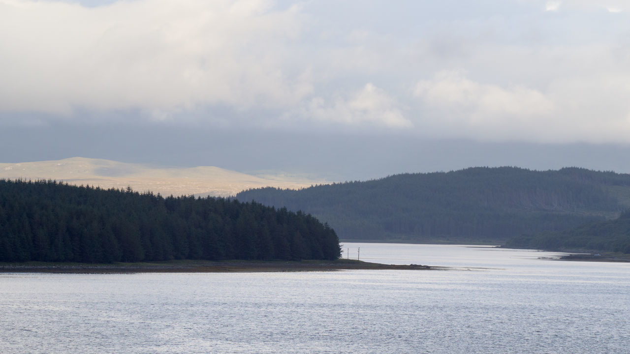 Scalpay View