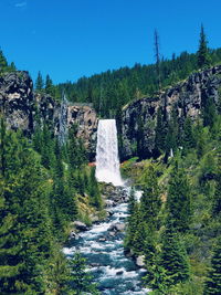 Scenic view of waterfall in forest against clear sky