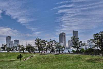 Trees and buildings against sky