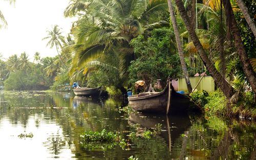 Boats moored in kerala backwaters against trees