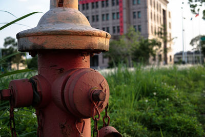 Close-up of fire hydrant