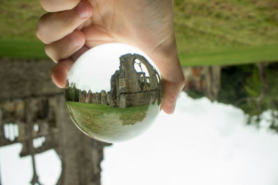 Close-up of hand holding crystal ball with reflection of trees