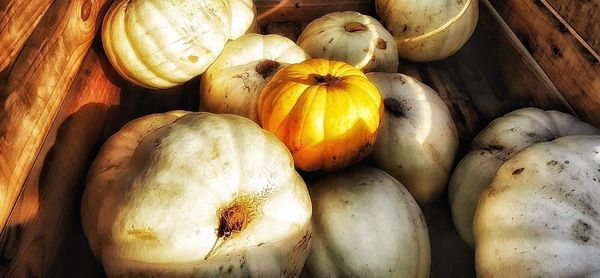 Full frame shot of pumpkins