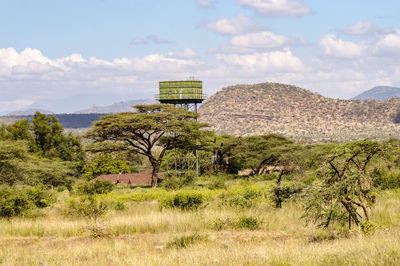 A green water storage tank on stilts in the savannah of samburu park in kenya