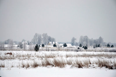 Scenic view of field against clear sky during winter