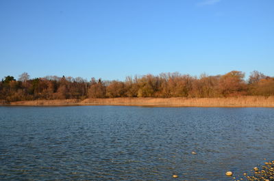 Scenic view of lake against clear blue sky