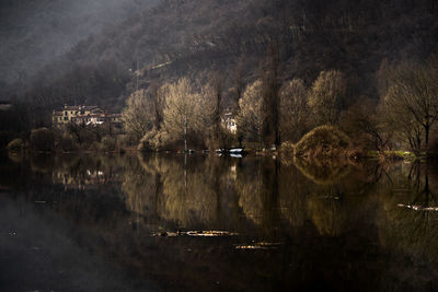 Scenic view of lake by trees