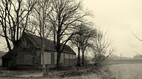 Bare trees on field against sky