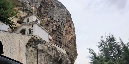 Low angle view of trees and buildings against sky