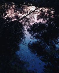 Reflection of trees in water against sky