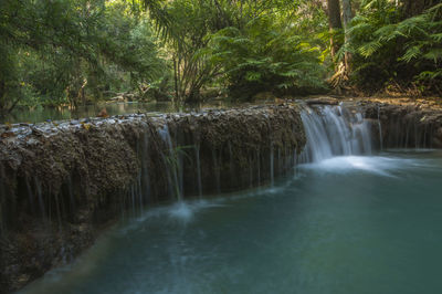 Scenic view of waterfall in forest