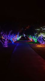 Illuminated christmas tree at night