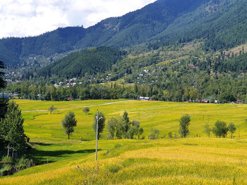 Scenic view of landscape against sky