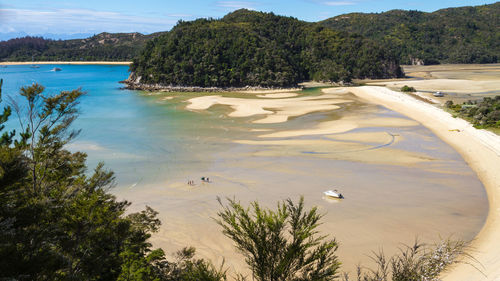 High angle view of beach with trees on mountain