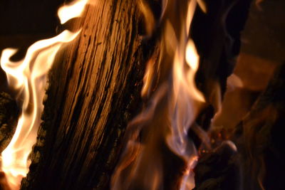 Close-up of burning candle