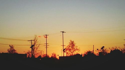 Silhouette of trees at sunset