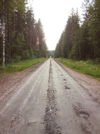 Road passing through trees