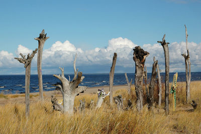 Panoramic view of sea against sky