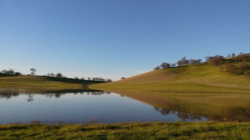 Scenic view of field against clear blue sky