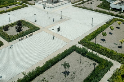 High angle view of trees growing on square