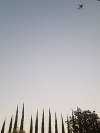 Low angle view of airplane flying against sky