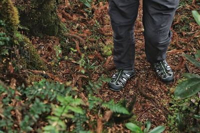 Low section of man standing on field in forest