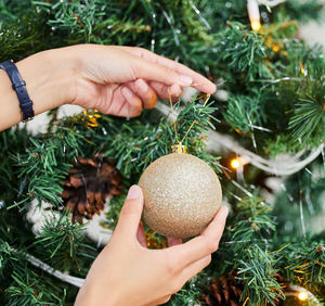 Cropped hand holding christmas tree