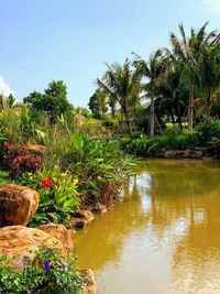 Scenic view of palm trees by lake against sky