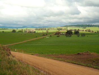 Scenic view of agricultural field against sky