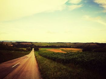 Road passing through field