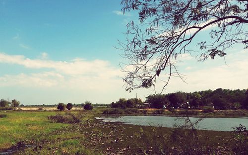 Scenic view of lake and field against sky