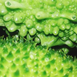 Full frame shot of water drops on leaf