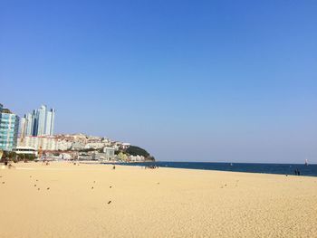 Scenic view of beach against clear blue sky