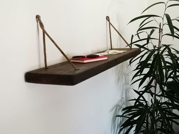 Close-up of potted plant on table against wall