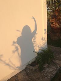 Rear view of silhouette woman standing by plants against sky