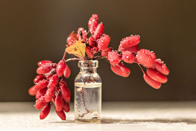 Close-up of red roses in vase on table