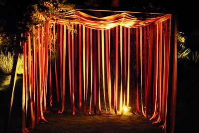 Light trails in forest at night