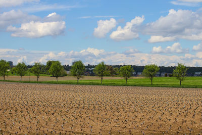 Scenic view of agricultural field against sky